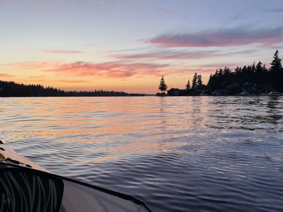 琥珀大王:2025我的最佳十本书