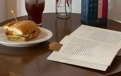 《蜉蝣直上》这是我读过最震惊的一本好书，几乎每年都会重读！