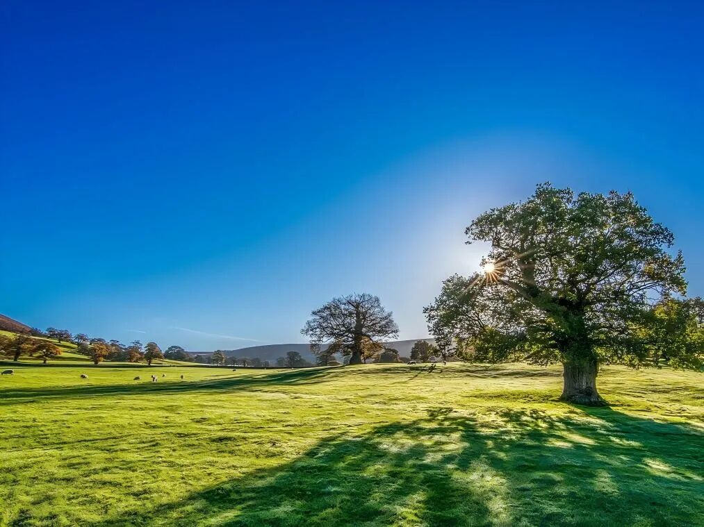 《早起的奇迹》：人到30+，每天早起1小时疯狂做这几件事，真的能重启人生