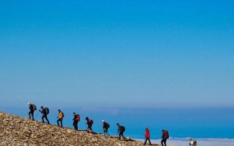 从 Z-library 到书房满架：读书，是普通人最低成本的跃迁