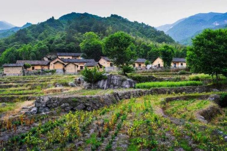 一位博士的返乡笔记：春节回家究竟是为了什么？