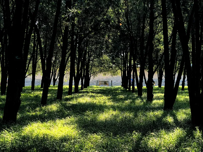 复工不是满血复活，是像史铁生一样扶轮问路