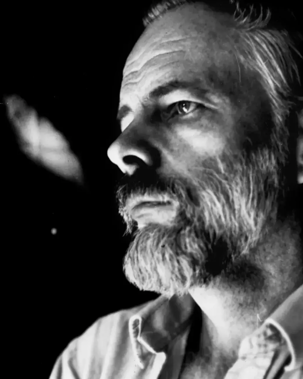 “我还活着，你们死了”：作家的求真之路