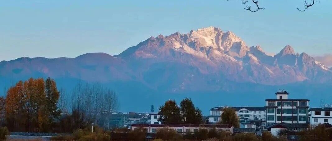 伦敦政治学院推荐的6本世界史佳作！