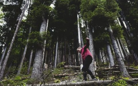 2026年第一本五星推荐的好书