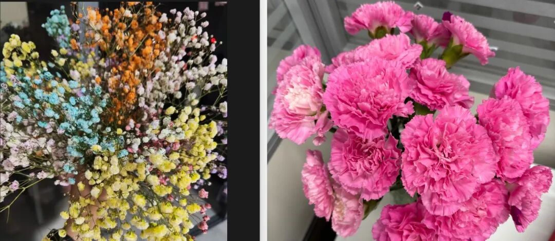 《被讨厌的勇气》这是我逢人就推荐的一本书