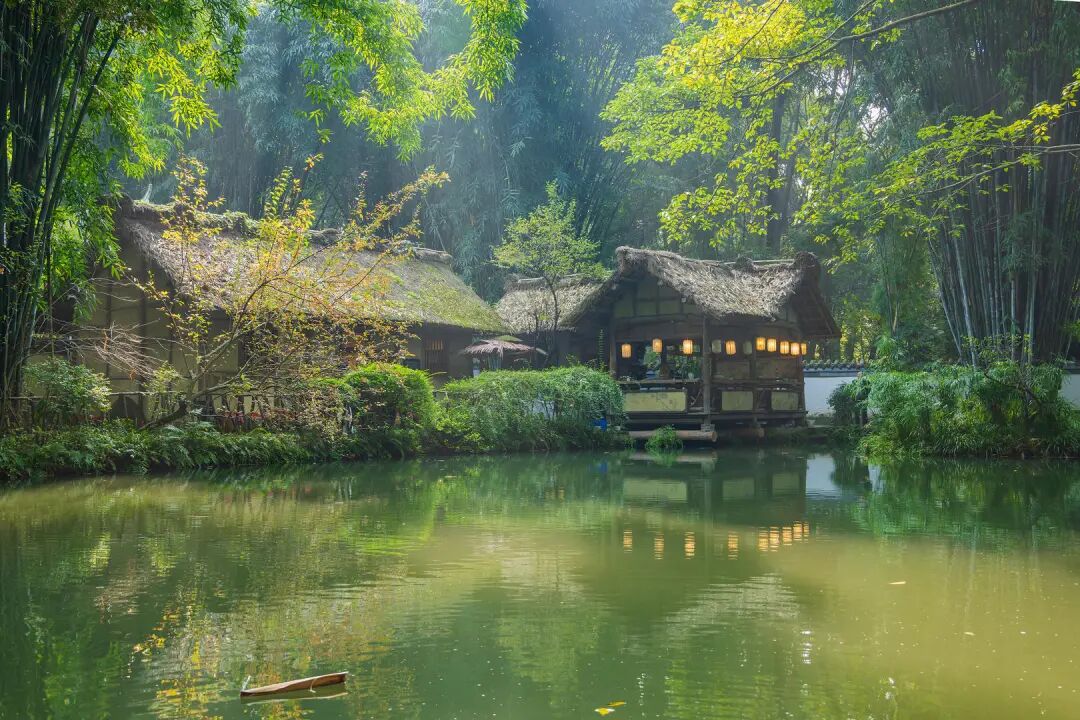 一本讲古诗的书，为什么能成为豆瓣年度图书第一