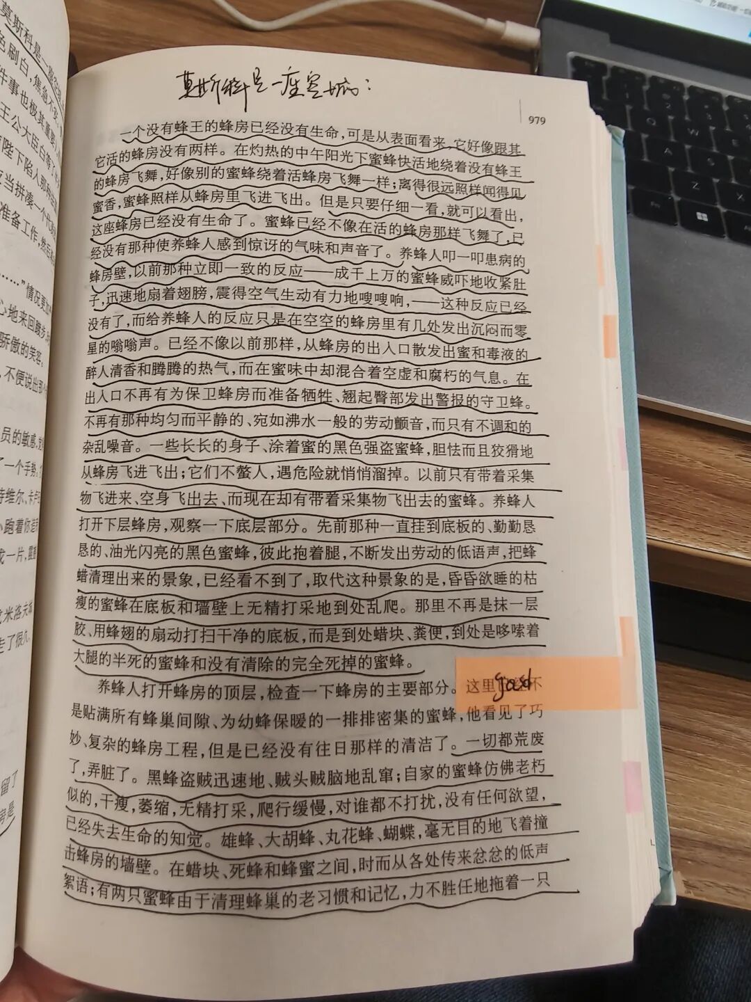 120万字，《战争与和平》我最喜欢的一部小说！