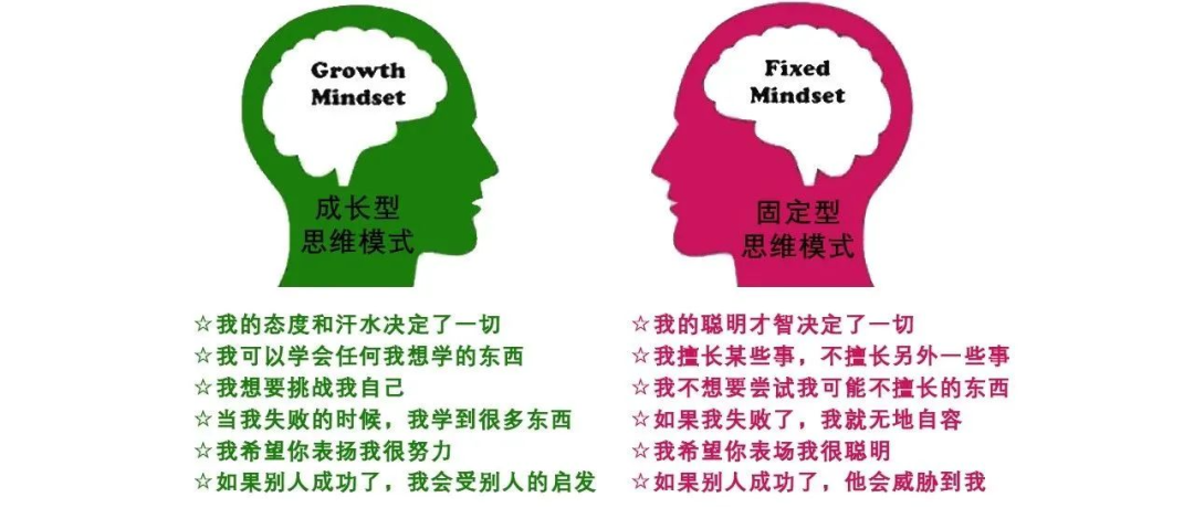 《认知天性》：一本被中文版带偏的超级好书（3000字深度解读）