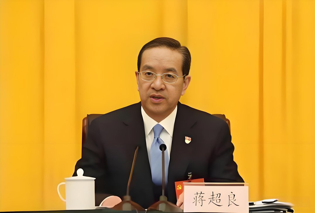 蒋超良主政湖北那几年，王祥喜是怎么“破局”的