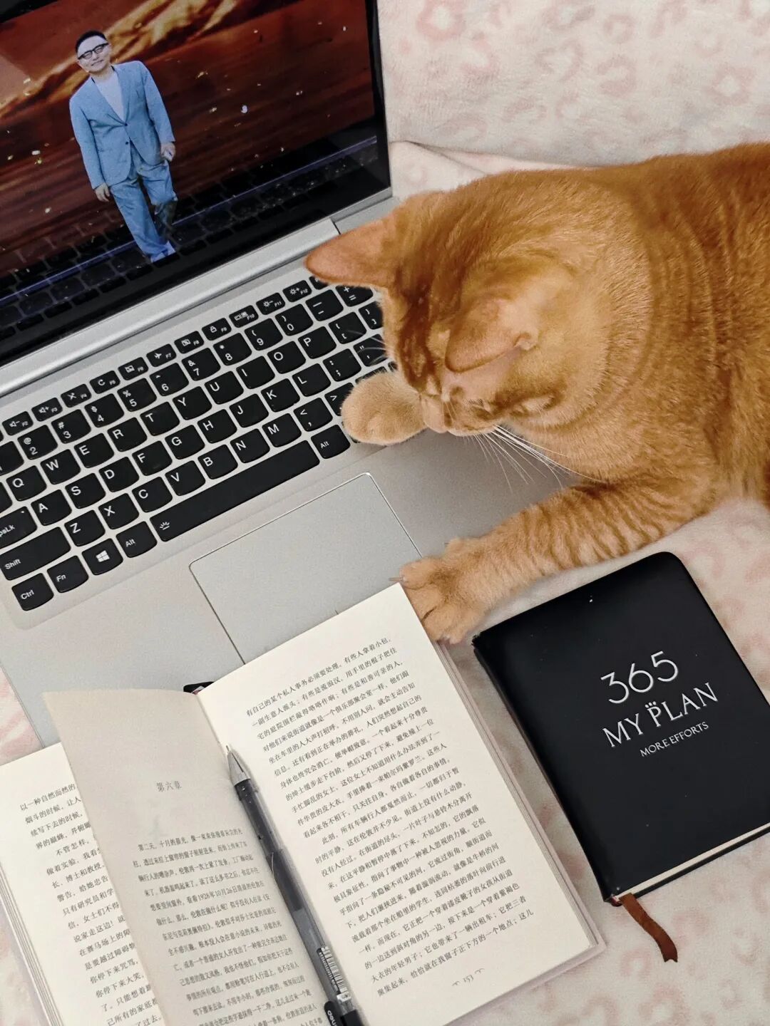 2026年罗振宇跨年演讲推荐的十本书