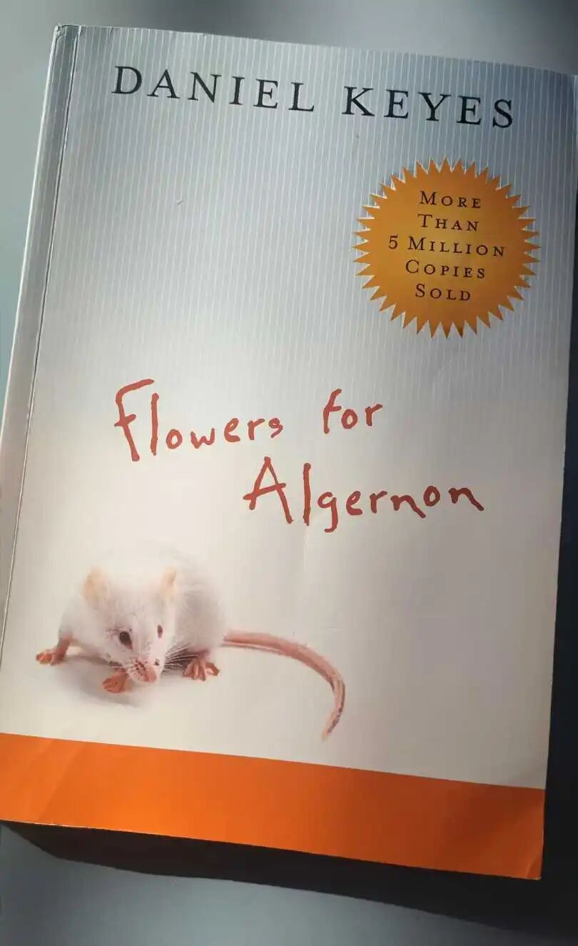 2025阅读总结：一共看了60本书，这11本让我眼前一亮！