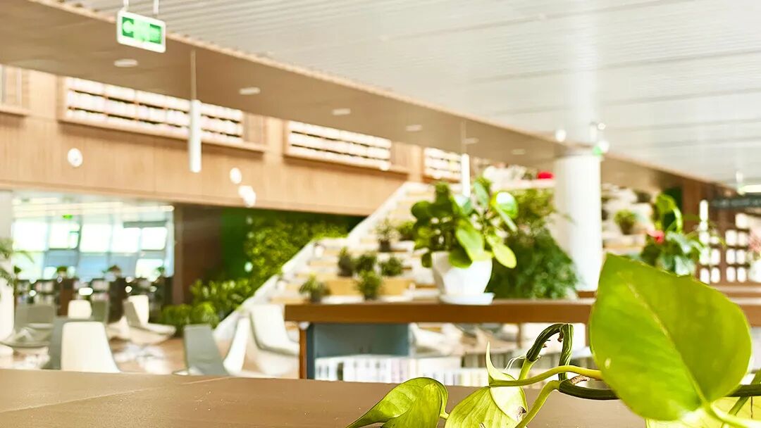 《全民阅读促进条例》发布后,银行如何开展阅读推进业务