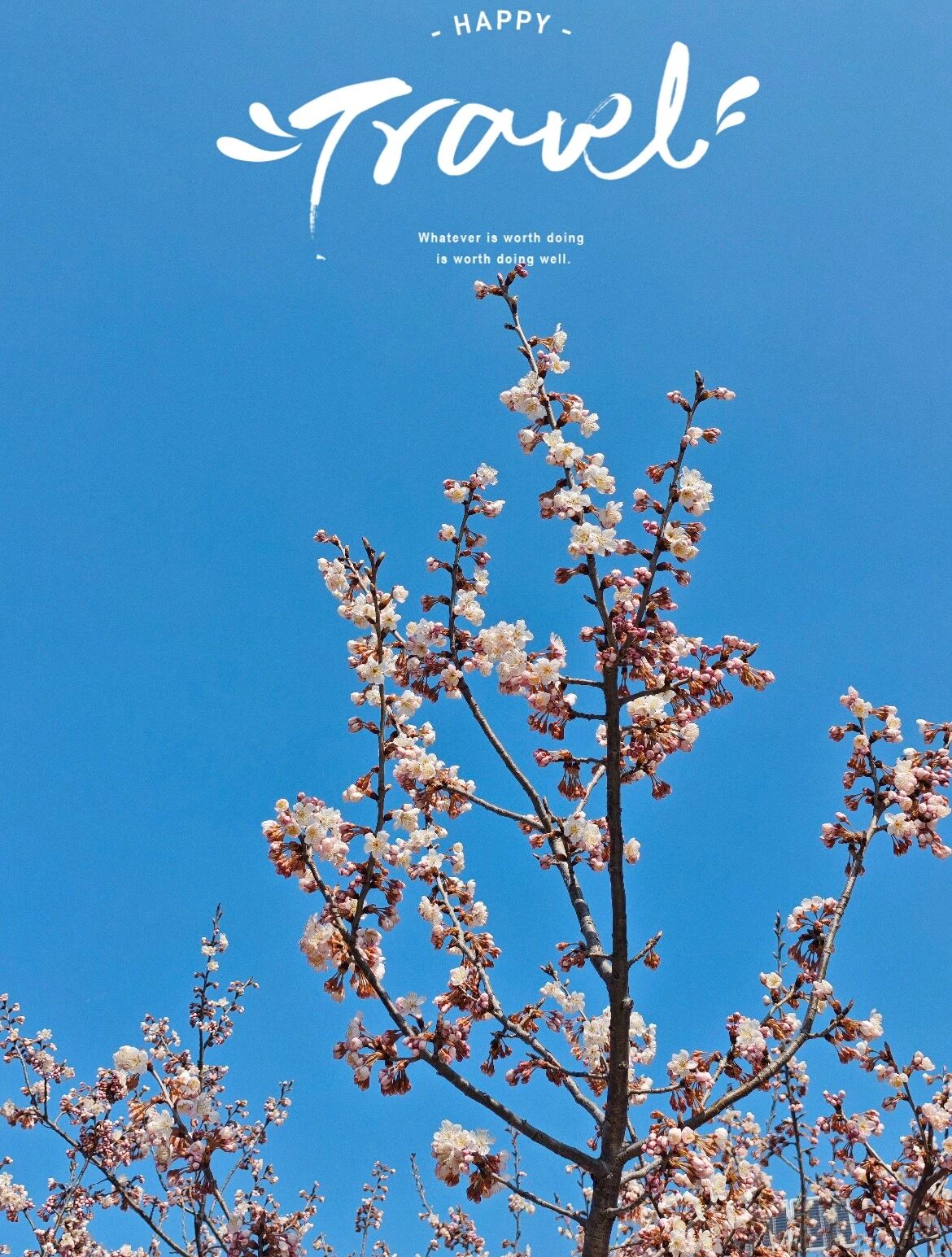 小熊黛比：总有人怀着恶意问