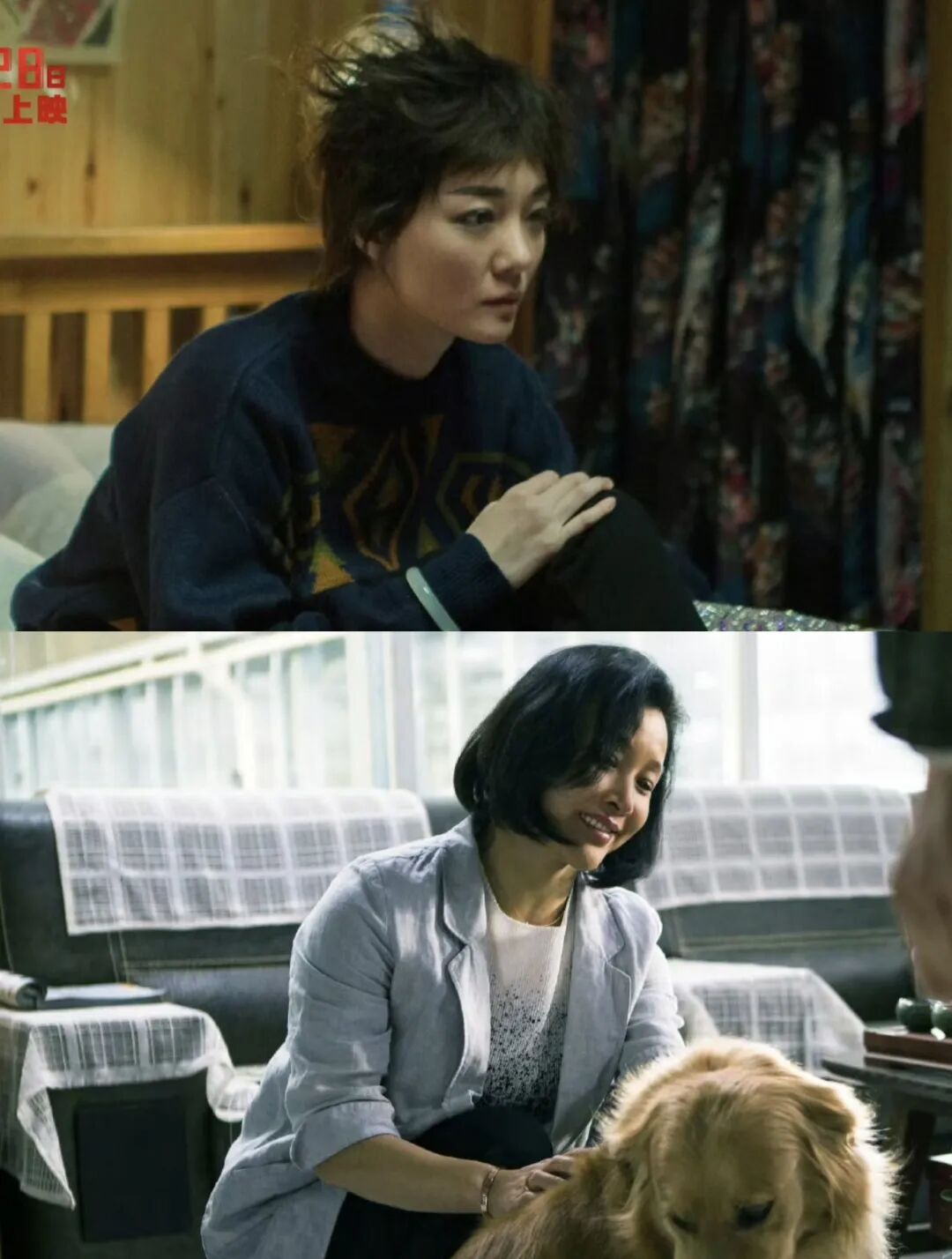 3月28日开播！袁泉耿乐主演的女性犯罪电影《蜂蜜的针》终于定档！