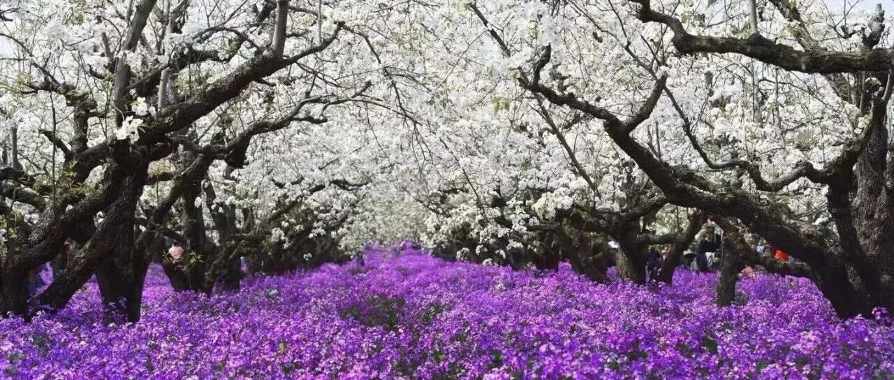 免费的错觉与知识的重量：理性看待高校数字资源的商业逻辑