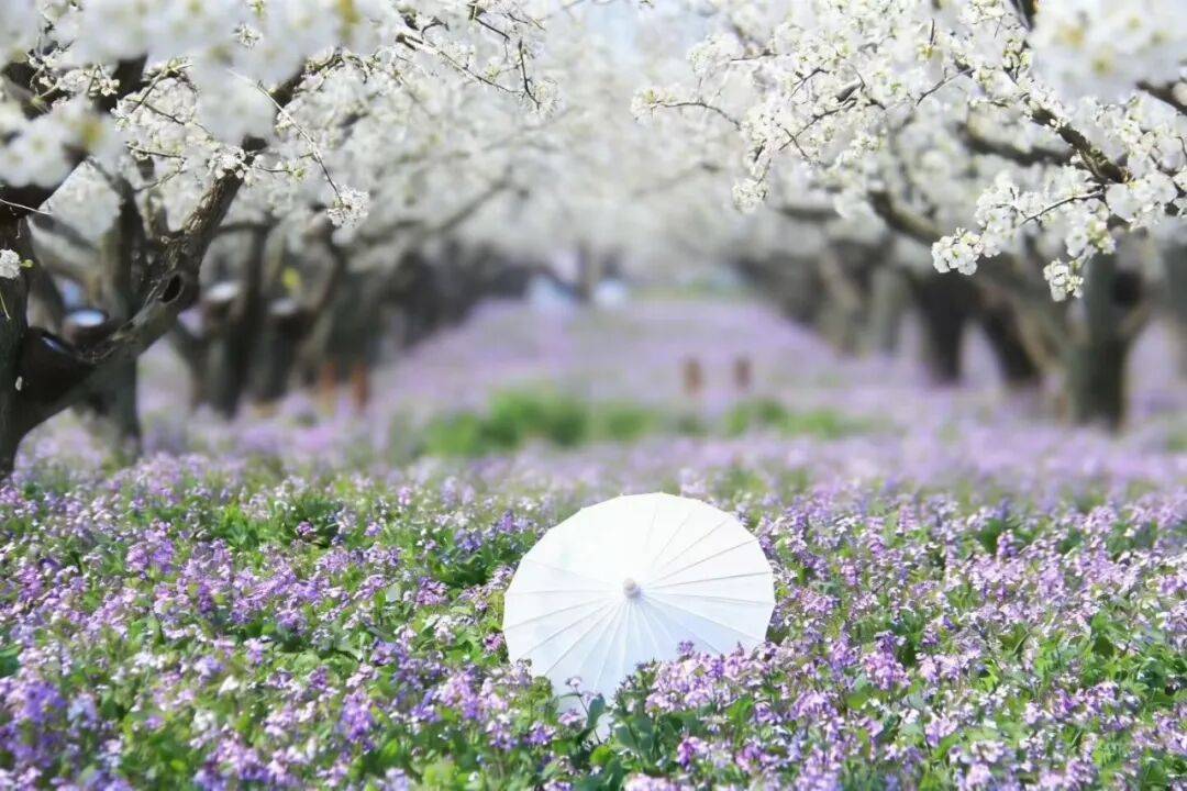 免费的错觉与知识的重量:理性看待高校数字资源的商业逻辑