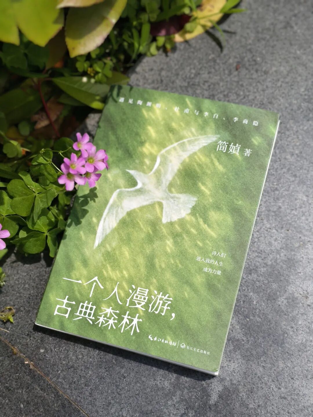 高考作文题刷屏后,我在简媜笔下重识了 “隐士”陶渊明