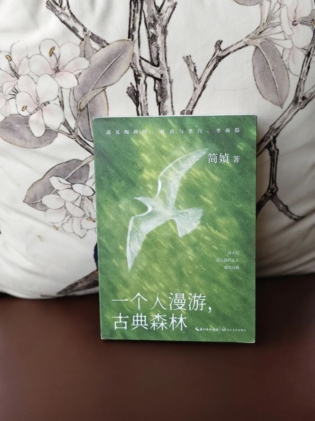 高考作文题刷屏后,我在简媜笔下重识了 “隐士”陶渊明